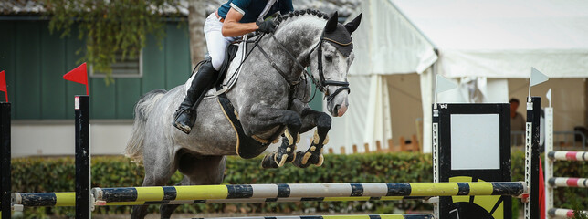 White horse jumping with rider during the test when jumping over an obstacle!.