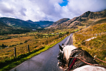 Black Valley in Killarney National park from with horse
