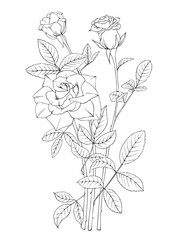 Rose black and white drawing line art. Vector tattoo