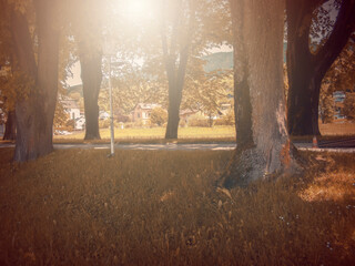  In Autumn.Fantasy fable in Park with Sunrise scene.