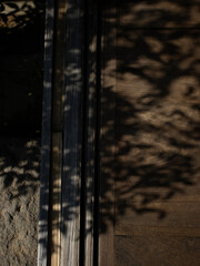 縁側の木漏れ日