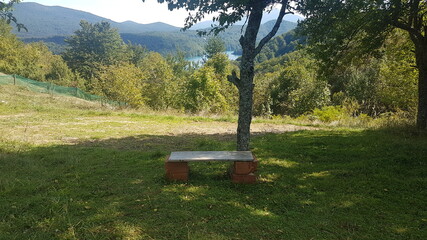 Lonely bench in the middle of nature