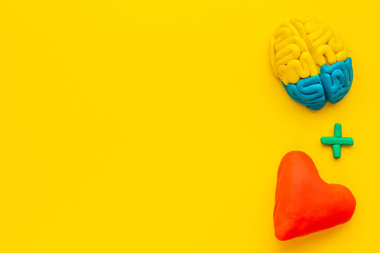 Emotional intelligence concept with brain and heart, top view