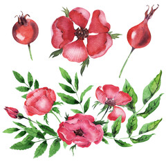 Watercolor composition with twigs, flowers and rosehip berries