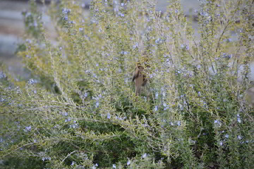 京都　滋賀の良いところ