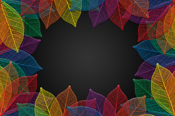 Rainbow colored leaf skeletons frame border on a black background