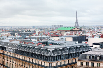 Paris City Panorama . View of Eiffel Tower and rooftops