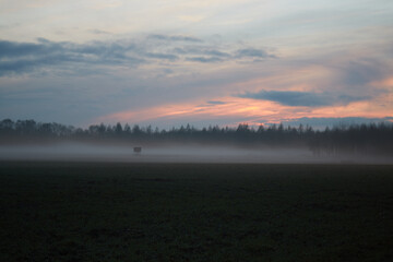 Fototapeta premium Landscape with a hunter high seat in the evening with fog and sunset