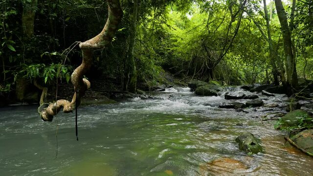 Chet Khot Waterfall in Tropical Rainforest, Saraburi Thailand. Nature background