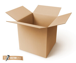 Boîte en carton vectorielle sur fond blanc
