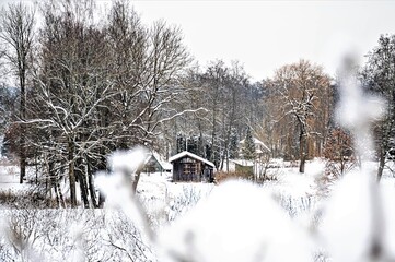 Wonderful white winter landscape in the countryside with trees covered by snow after big snowfall and traditional old wooden house in Lithuania, Baltic countries