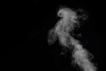 Curly smoke, smog, looks like a bird on a black background, copy space, close-up. Abstract background, design element, for overlay on pictures