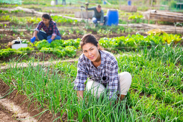 Positive woman caring for plants in her garden with other people in background