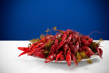 A plate full of cooked crayfish, topped with dill, on a thie table. Swedish tradition. Crayfish party. Studio photo with blue background. Selective focus on object.