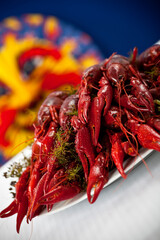 A plate full of cooked crayfish, topped with dill. Swedish tradition. Crayfish party. Studio photo with colorful background. Selective focus on object.