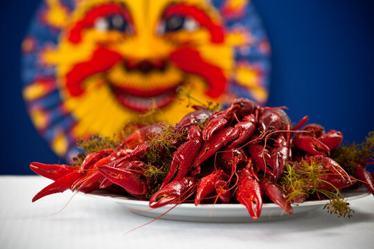A plate full of cooked crayfish, topped with dill. Swedish tradition. Crayfish party. Studio photo with colorful background. Selective focus on object.