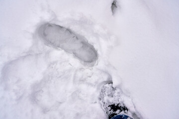 winter landscape in the mountains