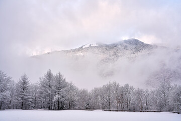 winter landscape in the mountains