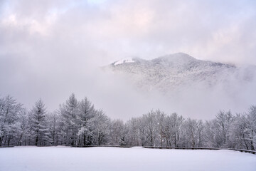 winter landscape in the mountains