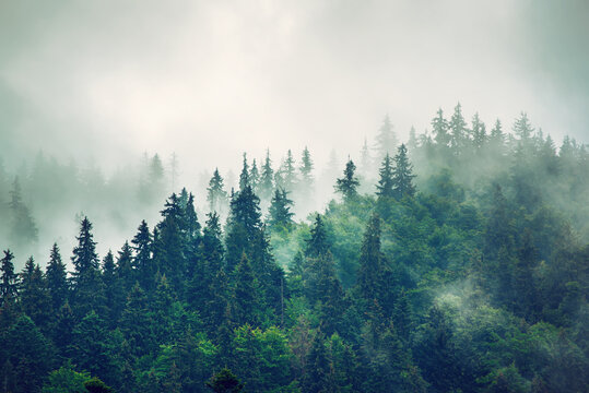 Misty mountain landscape © Roxana