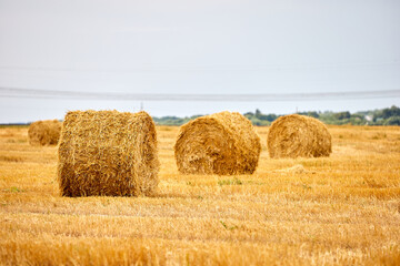 Bright yellow dry Rolls of haystacks on the summer field. Rural landscapes