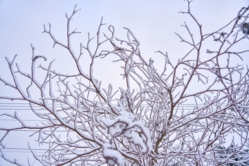 winter landscape in the mountains