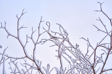 winter landscape in the mountains