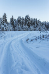 Fototapeta na wymiar Countryside road through winter field with forest on a horizon