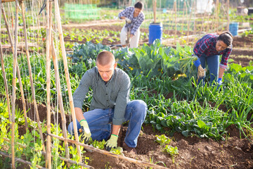 Man caring for plants in his garden with other people in background