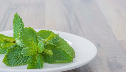 fresh mint leaves in a glass