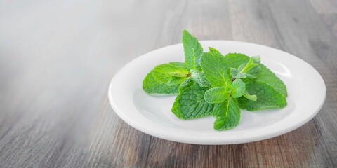 Green sprigs of mint on a white saucer on a wooden table