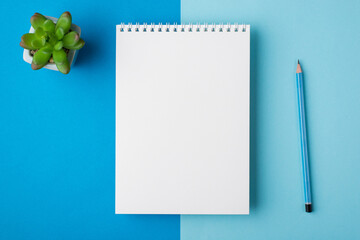 Above overhead close up flat lay view photo of clear spiral notepad with place for mock up branding isolated half pastel and bright color backdrop