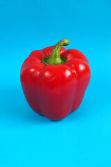 red sweet pepper on a blue background side view