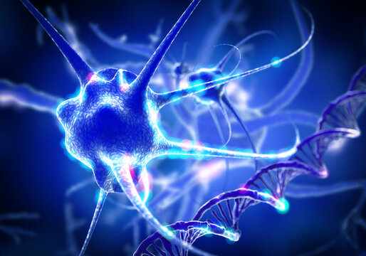 Active nerve cells, 3D illustration