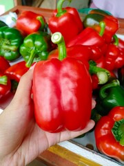 Vegetable 