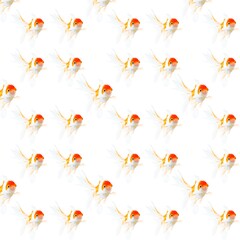Goldfish seamless pattern in white background