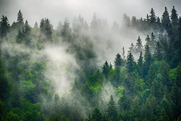 Fototapete Rund Misty mountain landscape © Roxana
