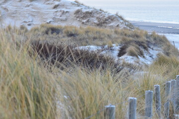 Nordseeküste in Niederlande