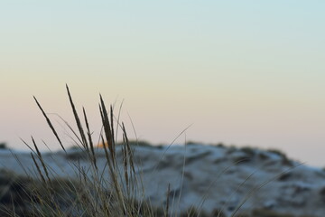 Nordseek&uuml;ste in Niederlande