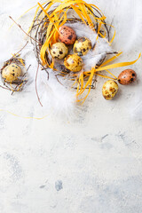 Colored yellow and brown Easter quail eggs with feathers in small nests. Shallow depth of field. Top view. Space for text.