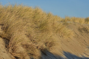 Nordseeküste im Winter von Niederlande
