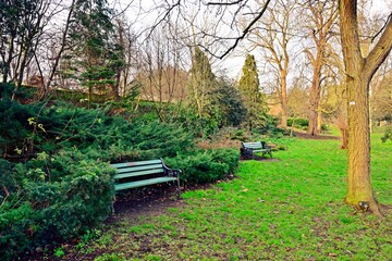 Fototapeta premium Benches in park