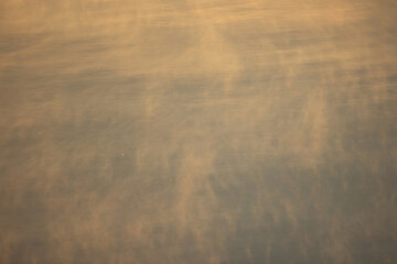 Natural park in winter, with morning fog shot from various angles.