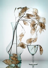 Still life with a dry branch. Minimalism.