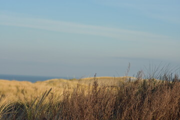 Nordseek&uuml;ste in Niederlande