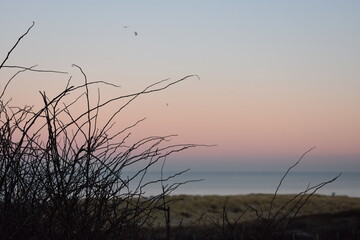 Nordseeküste in Niederlande
