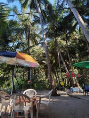 Plastic chairs and tables in the empty cafe in a jungle