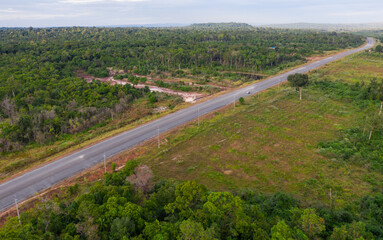 Aerial drone view of trail in spring tropical forest