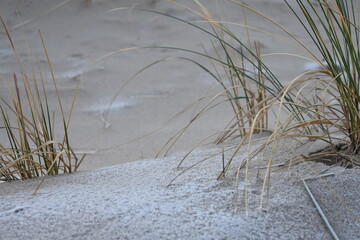 Nordseeküste in Niederlande