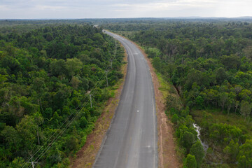 Aerial drone view of trail in spring tropical forest